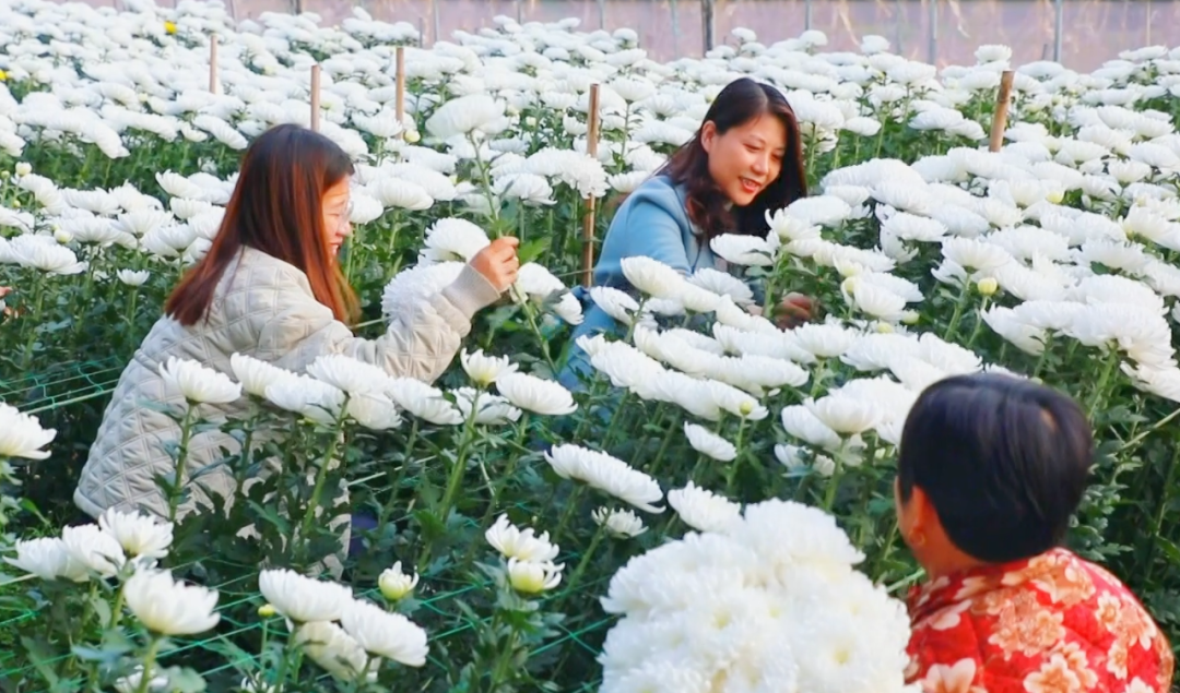 �F�ǅ^(q��)���ջ������M�ء���